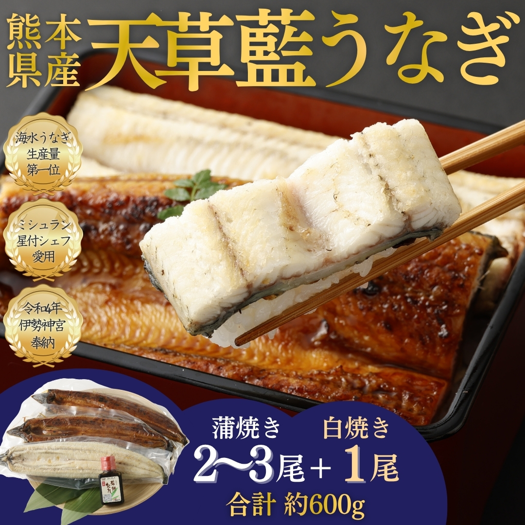 【ミシュランシェフ御用達】天草藍うなぎ紅白セット（3～4尾／600g） 天草海産