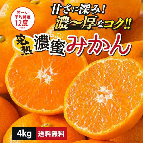 【送料無料】熊本県産 完熟濃蜜みかん 約4kg（30～50玉入り L～S）