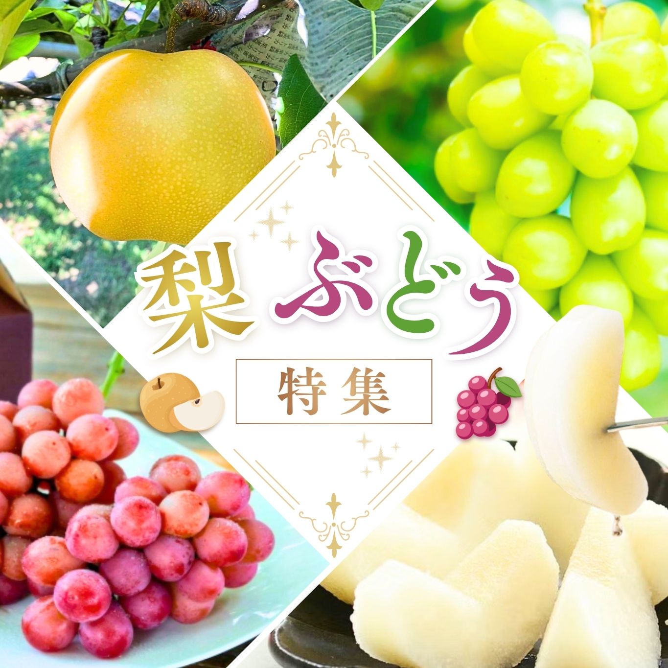 梨・ぶどう特集
