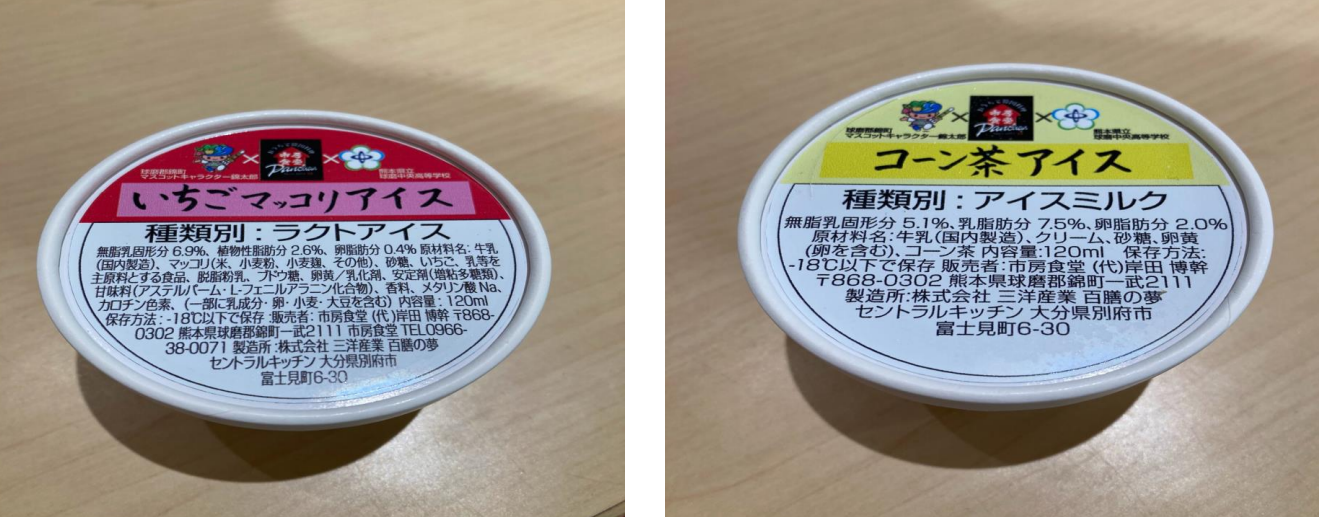 プロジェクトに取り組む球磨中央高校3