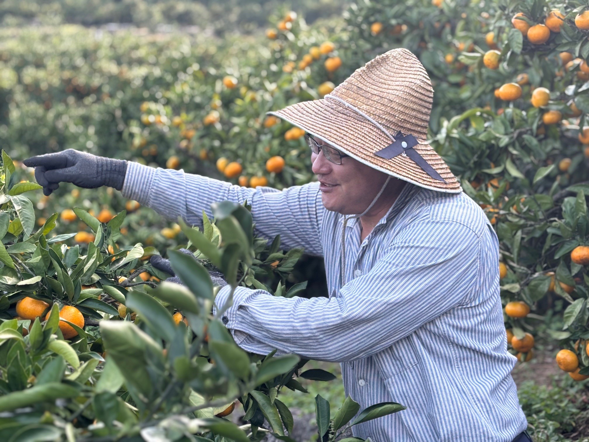熊本市街地から車で30分