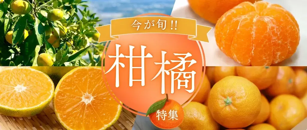 鹿児島・熊本・宮崎厳選のお米特集