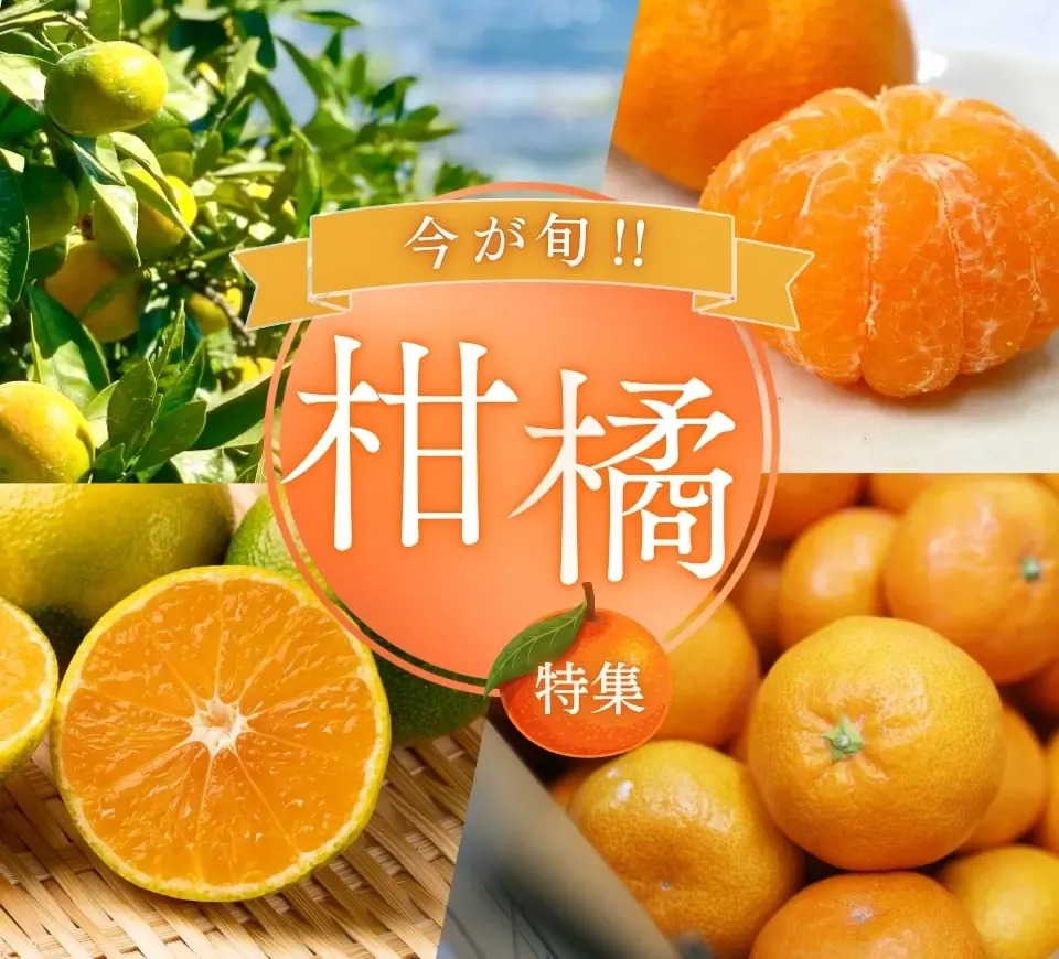 鹿児島・熊本・宮崎厳選のお米特集