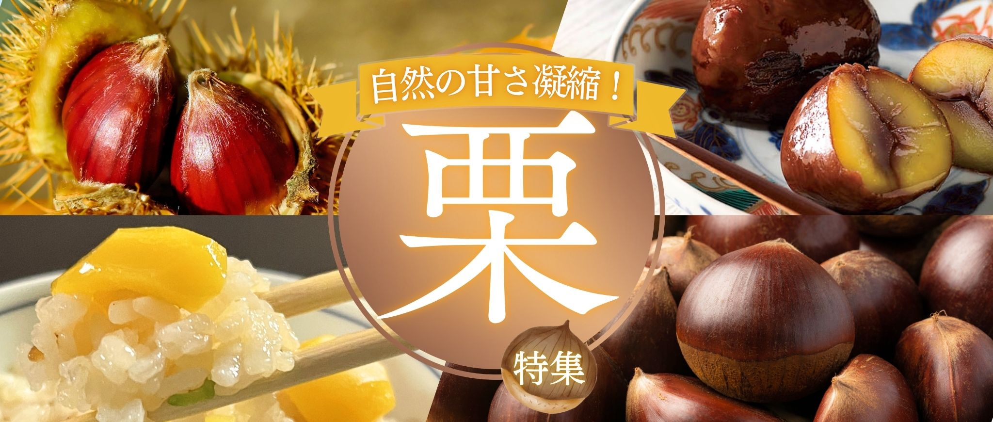 ファイナルサマーキャンペーン