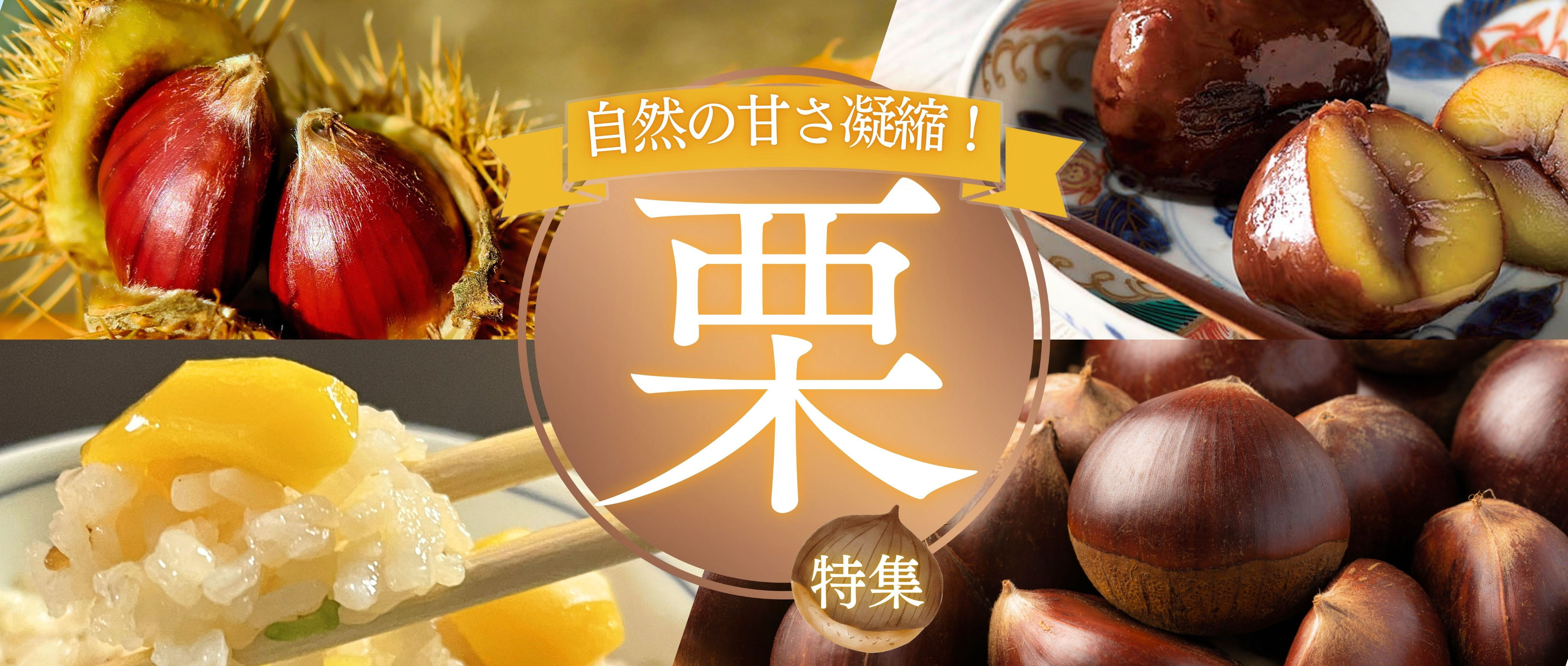 熊本の秋の栗特集。お土産にも最適です。