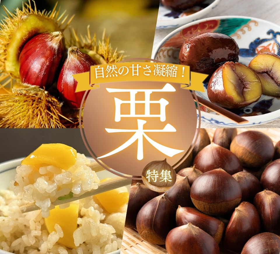 熊本の秋の栗特集。お土産にも最適です。