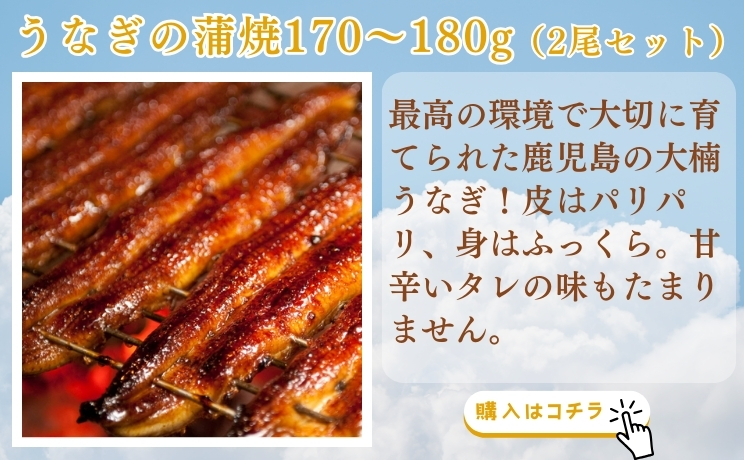 うなぎ蒲焼170g~180g（2尾セット）