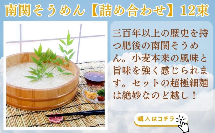 南関そうめん【詰め合わせ】12束
