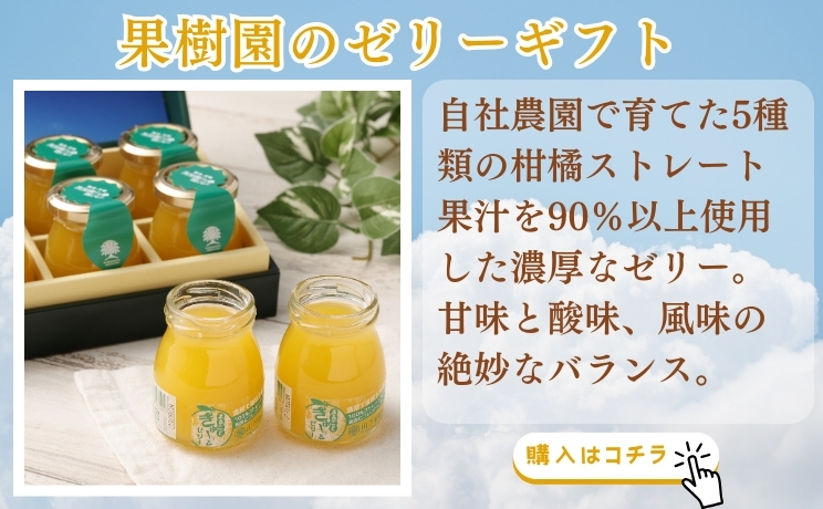 果樹園のゼリーギフト