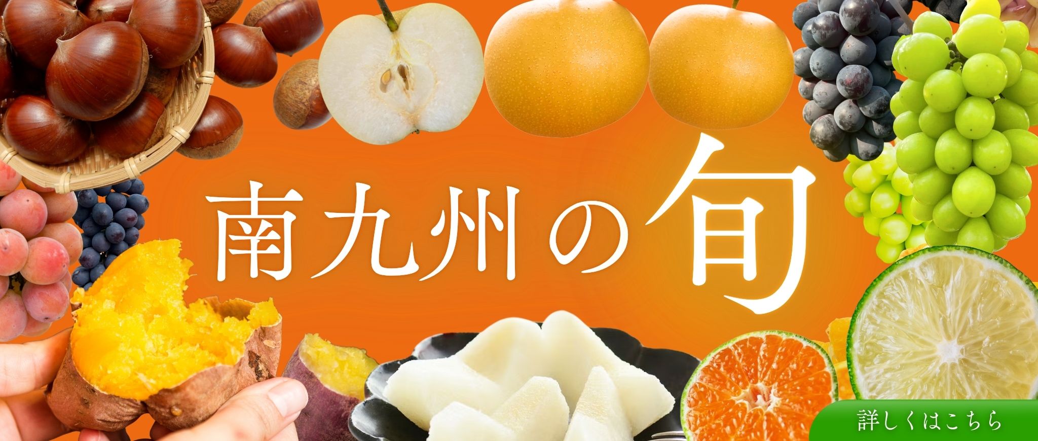 南九州の旬の果物です。お土産にも最適です。