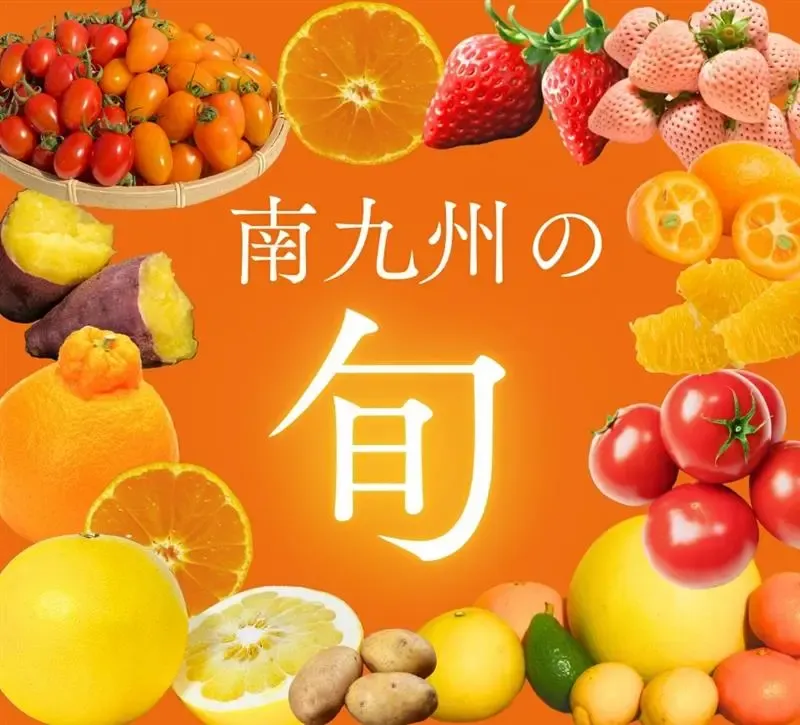 南九州の旬の果物です。お土産にも最適です。