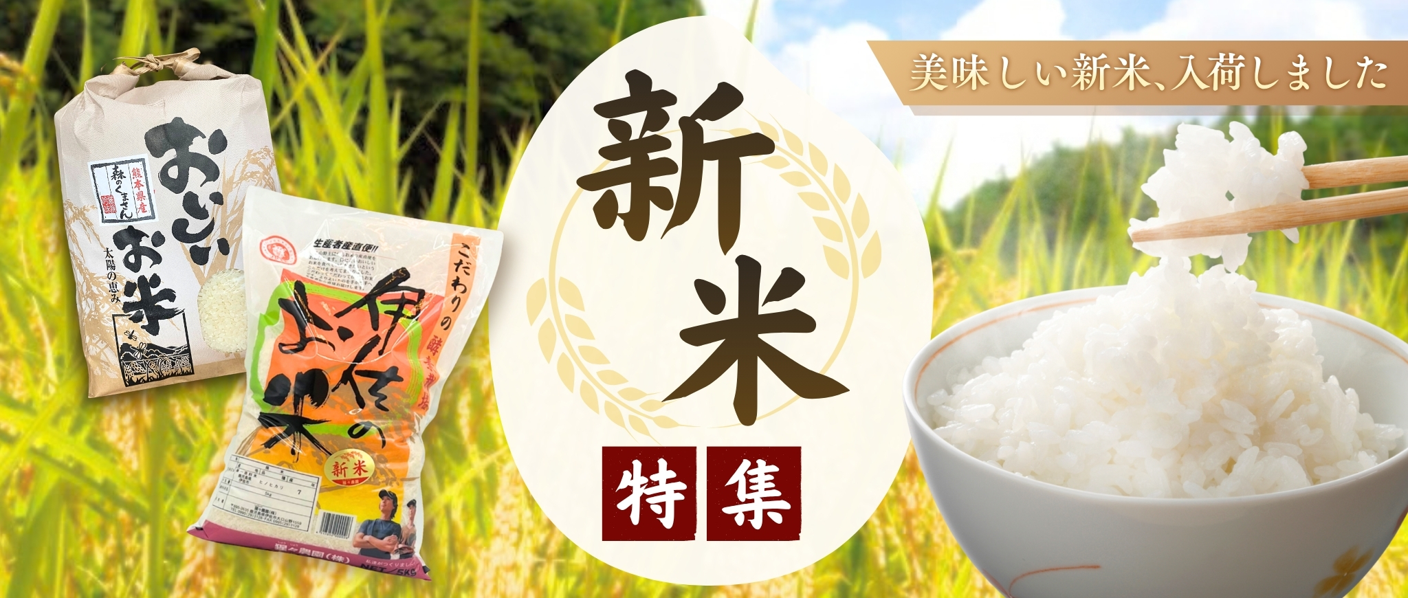 新米特集