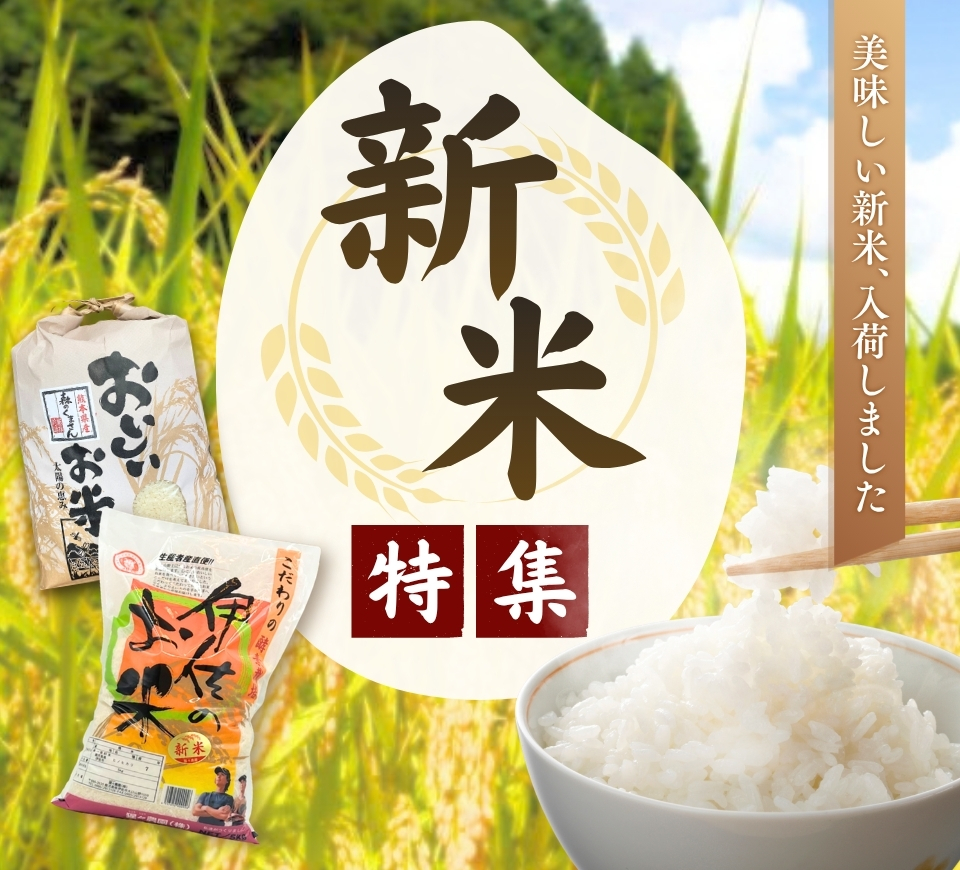 新米特集